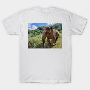 Majestic elephant T-Shirt